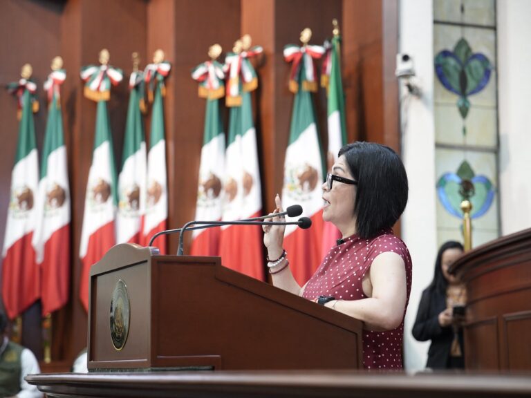 Diputada Juana Minerva Vázquez habla en tribuna del Congreso.