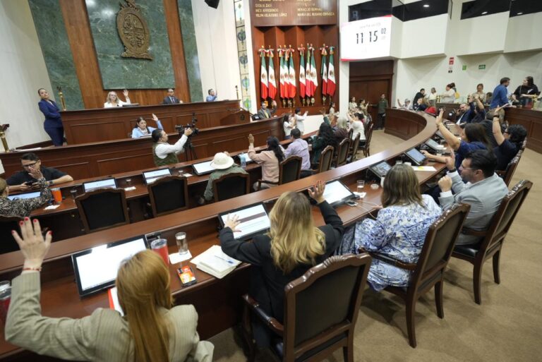 Diputadas y diputados son fotografiados de espaldas durante sesión.