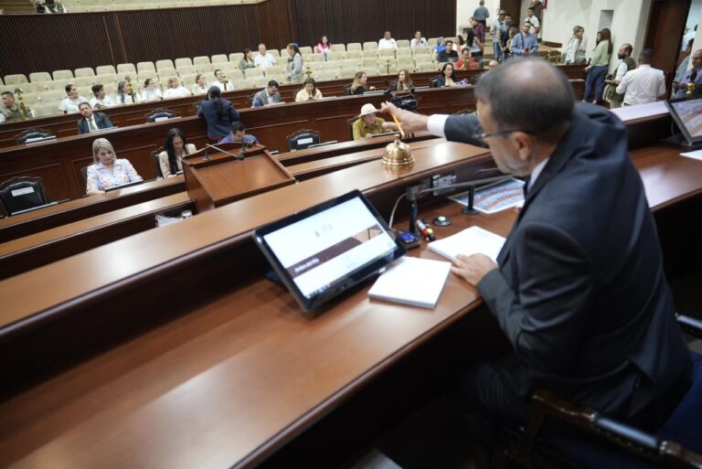 Presidente de la Mesa Directiva del Congreso conduce la sesión.