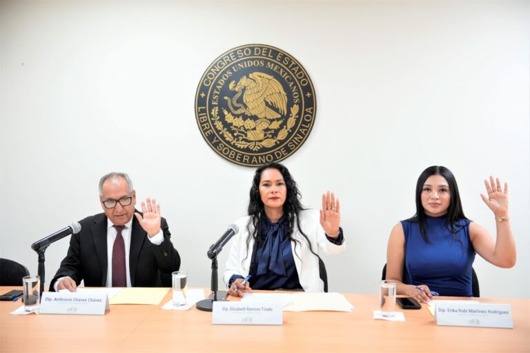 Dos diputadas y un diputado participan en la reunión de trabajo.