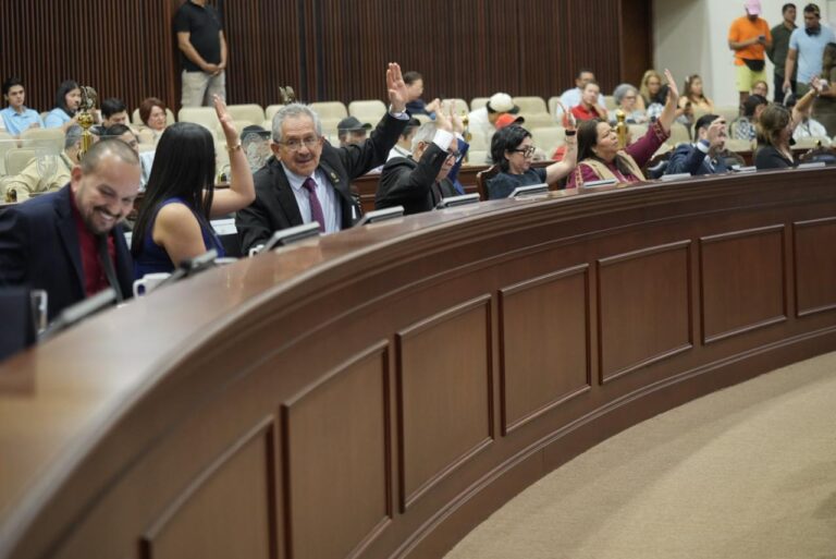 Diputados tras larga mesa votan levantando sus manos Detrás de ellos, ´público asistente.