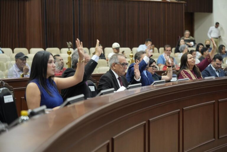 Sentadas en hileras, diputadas y diputados levantan sus manos al mismo tiempo.