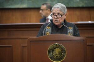Diputada Martha Yolanda Dagnino habla en tribuna.