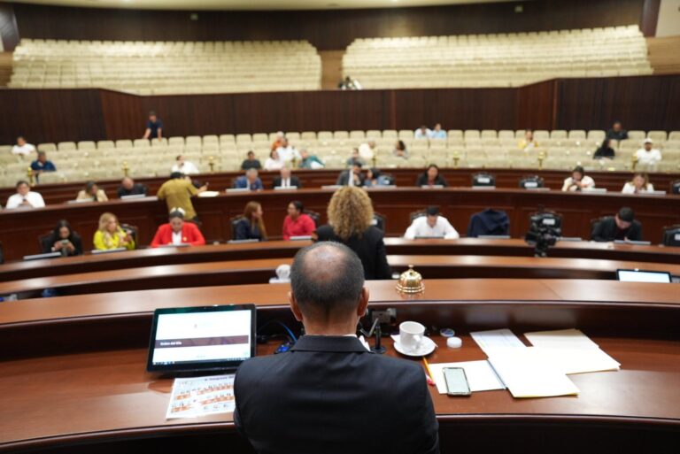 Presidente de Mesa Directiva aparece de espaldas. Al fondo sus compañeras y compañeros.