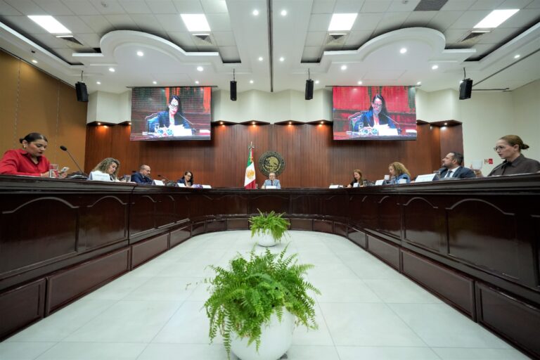 Integrantes de Diputación aparecen sentados en amplia mesa tipo herradura.