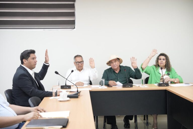 Cuatro integrantes de la Comisión votan levantando sus manos.