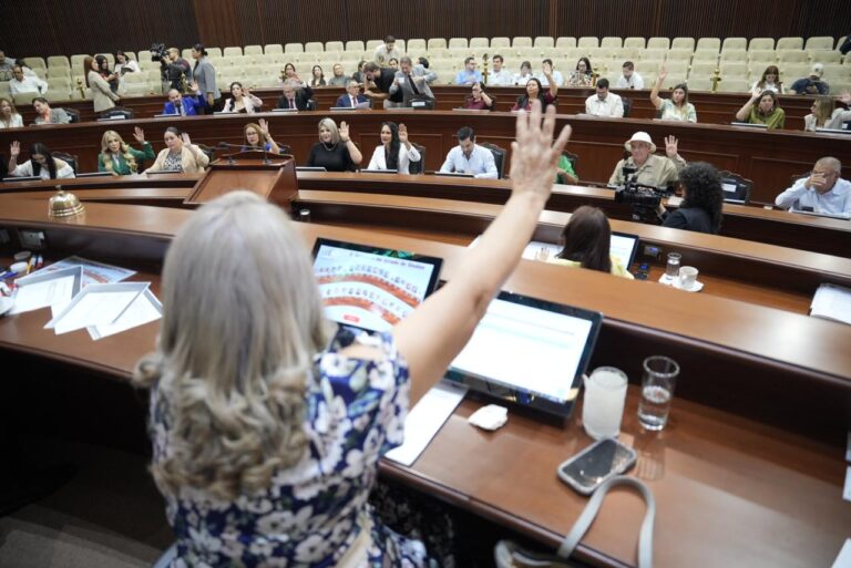 Diputados y diputadas votan levantando sus manos desde sus asientos.
