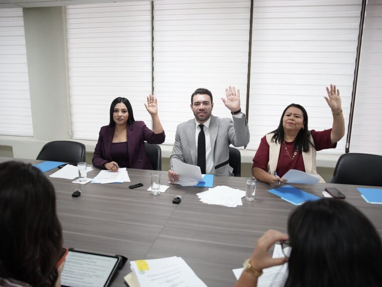 Dos diputados y un diputado de la Comisión votan levantando sus manos.