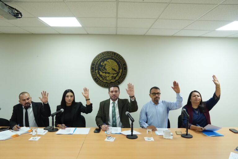 Las y los cinco integrantes de la comisión votan levantando sus manos.