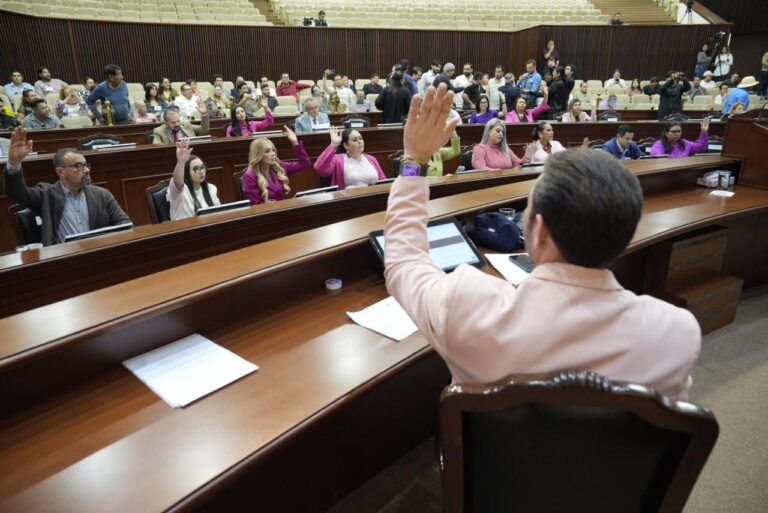 Desde sus asientos, diputados y diputadas levantan sus manos.