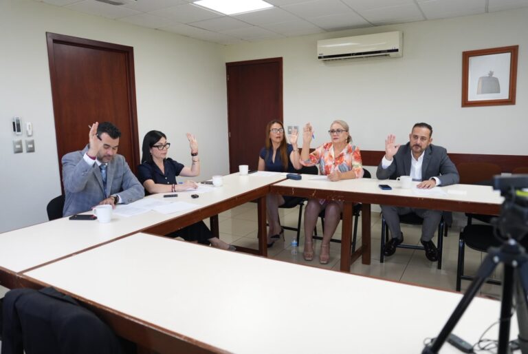 Tres diputadas y dos diputadas de la comisión votan levantando sus manos.