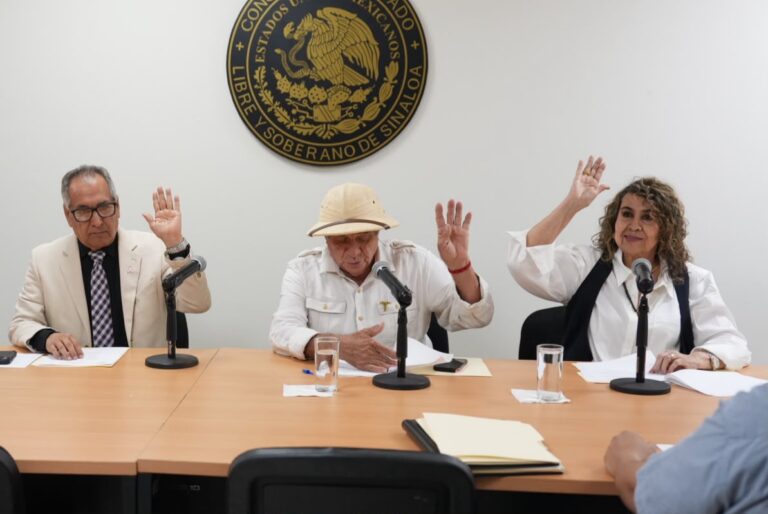 Tres integrantes de la comisión votan predictamen.