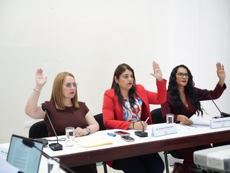 Tres diputadas de la Comisión votan levantando sus manos.