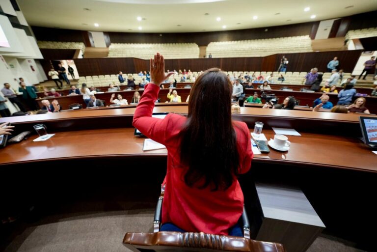 En primer Plano diputada vota levantando su mano. Frente a ella sus compañeras y compañeros hacen lo mismo.