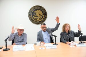 Dos diputadas y un diputado de la comisión levantan sus manos al votar.