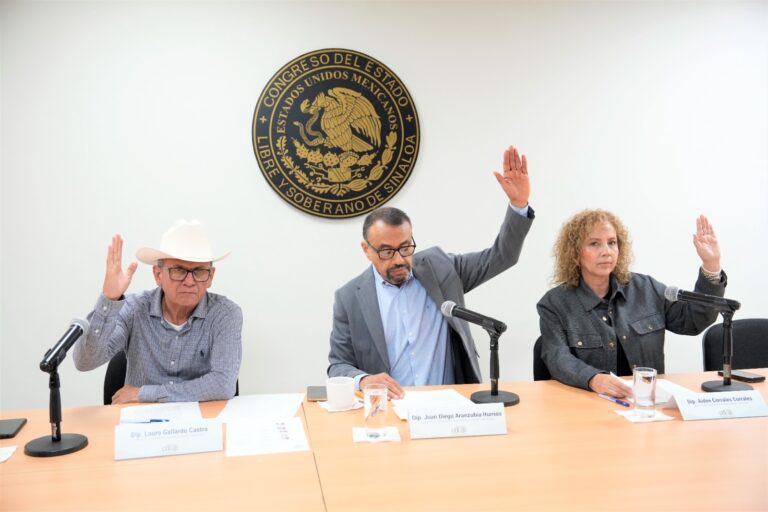 Dos diputadas y un diputado de la comisión levantan sus manos al votar.