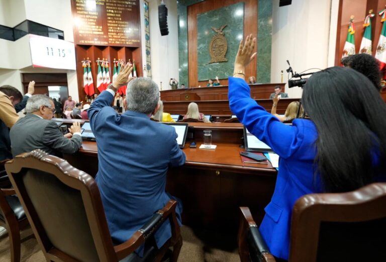 Diputados y diputadas votan levantando sus manos desde sus lugares.